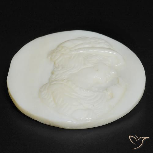 Madreperla Bianco caldo naturale da 14.55 ct, Rotondo, Opaco