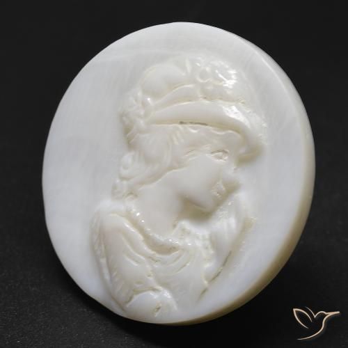 Madreperla Bianco crema naturale da 19.63 ct, Rotondo, Opaco