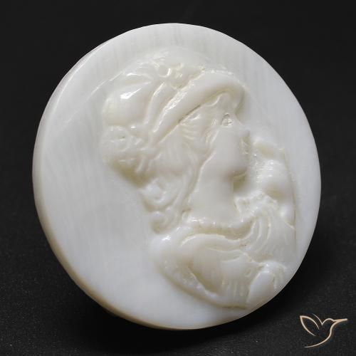 Madreperla Bianco crema naturale da 19.63 ct, Rotondo, Opaco