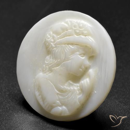 Madreperla bianco perla naturale da 14.65 ct, Rotondo, Opaco