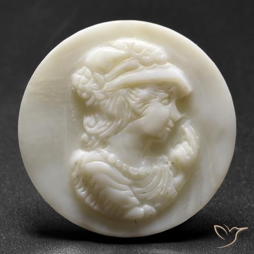 Madreperla bianco perla naturale da 16.21 ct, Rotondo, Opaco