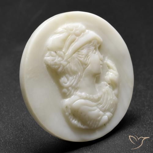 Madreperla bianco perla naturale da 16.21 ct, Rotondo, Opaco