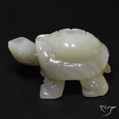 Madreperla bianco perla naturale da 23.99 ct, Taglio a fantasia, Opaco