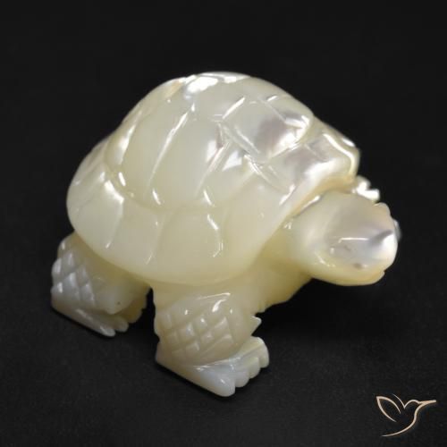 Madreperla bianco perla naturale da 19.50 ct, Taglio a fantasia, Opaco