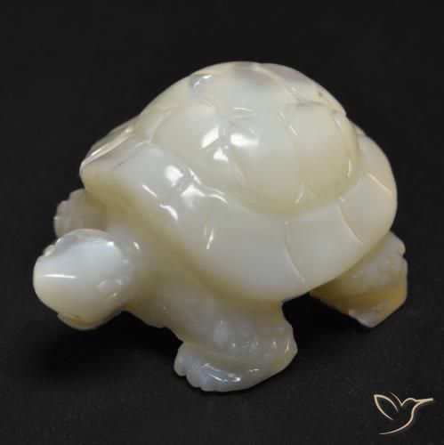 Madreperla bianco perla naturale da 20.94 ct, Taglio a fantasia, Opaco