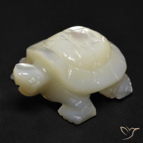 Madreperla bianco perla naturale da 18.53 ct, Taglio a fantasia, Opaco