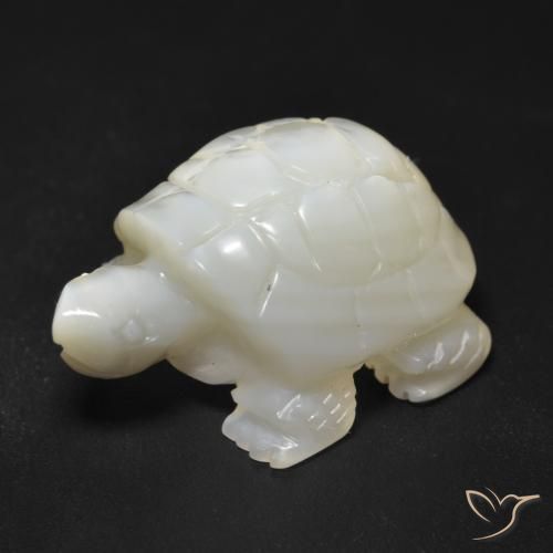 Madreperla bianco perla naturale da 23.34 ct, Taglio a fantasia, Opaco