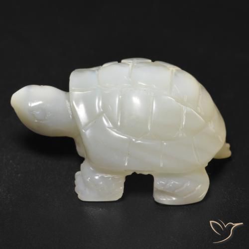 Madreperla bianco perla naturale da 23.34 ct, Taglio a fantasia, Opaco