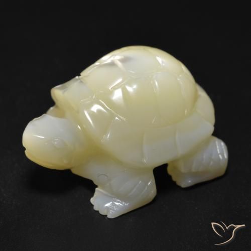 Madreperla bianco perla naturale da 22.57 ct, Taglio a fantasia, Opaco