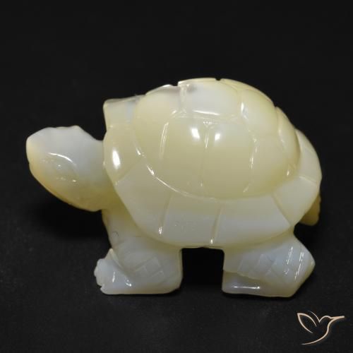 Madreperla bianco perla naturale da 22.57 ct, Taglio a fantasia, Opaco