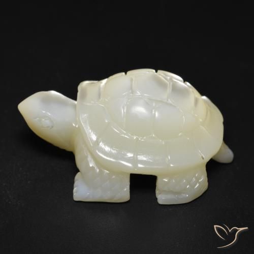 Madreperla bianco perla naturale da 22.16 ct, Taglio a fantasia, Opaco