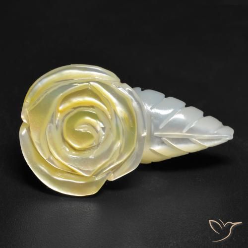 Madreperla Giallo chiaro naturale da 20.91 ct, Taglio a fiore, Opaco
