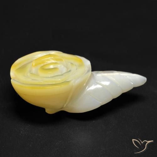 Madreperla Giallo chiaro naturale da 20.91 ct, Taglio a fiore, Opaco