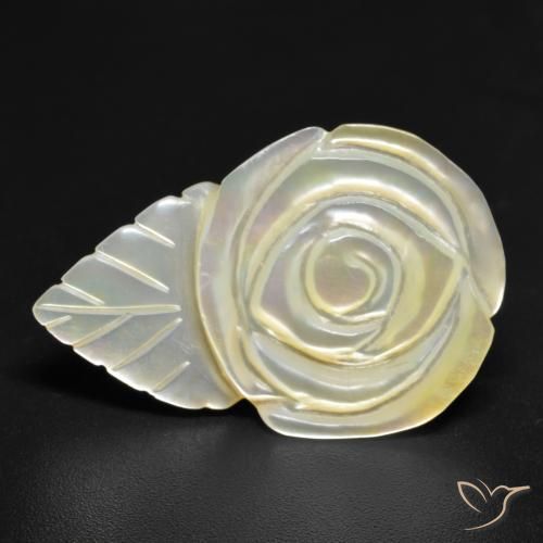 Madreperla bianco perla naturale da 16.46 ct, Taglio a fiore, Opaco