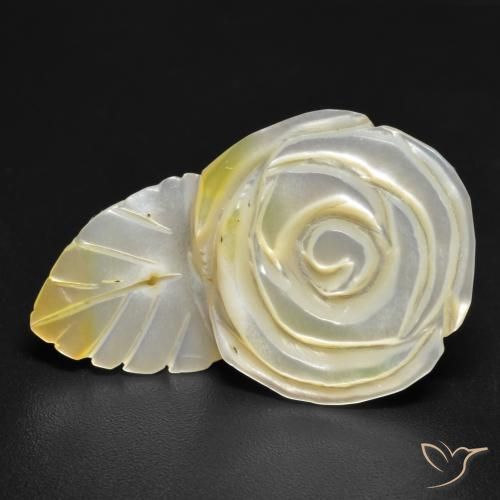 Madreperla Giallo chiaro naturale da 16.60 ct, Taglio a fiore, Opaco