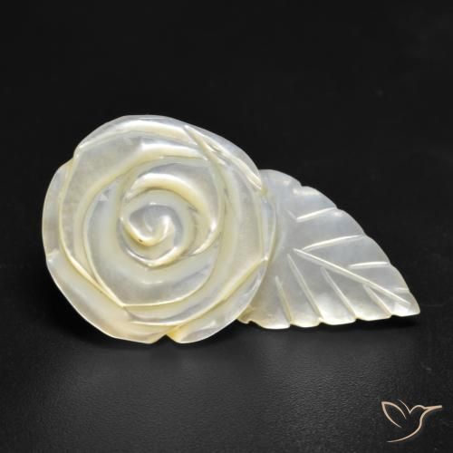 Madreperla bianco perla naturale da 18.49 ct, Taglio a fiore, Opaco