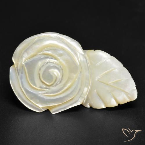 19.38ct Naturale bianco perla Madreperla, Taglio a fiore, Opaco