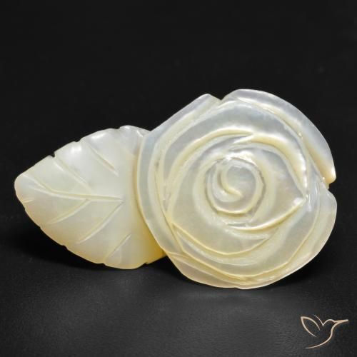 Madreperla bianco perla naturale da 19.38 ct, Taglio a fiore, Opaco