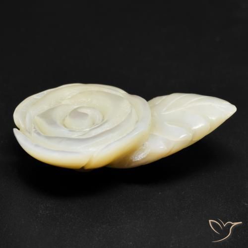 Madreperla bianco perla naturale da 19.38 ct, Taglio a fiore, Opaco