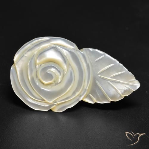 17.26ct Naturale bianco perla Madreperla, Taglio a fiore, Opaco