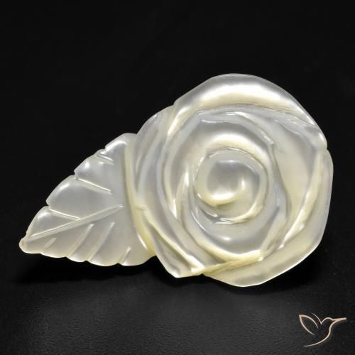 15.19ct Naturale bianco perla Madreperla, Taglio a fiore, Opaco