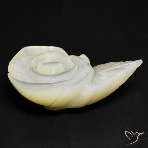Madreperla bianco perla naturale da 15.19 ct, Taglio a fiore, Opaco