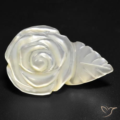 Madreperla bianco perla naturale da 12.59 ct, Taglio a fiore, Opaco