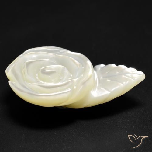 Madreperla bianco perla naturale da 12.59 ct, Taglio a fiore, Opaco