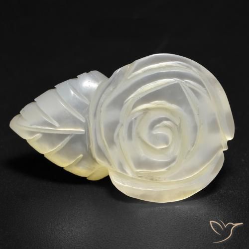 Madreperla bianco perla naturale da 14.21 ct, Taglio a fiore, Opaco