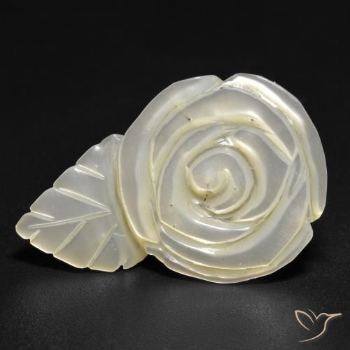 Madreperla bianco perla naturale da 14.48 ct, Taglio a fiore, Opaco