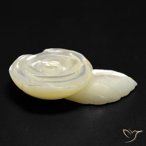Madreperla bianco perla naturale da 19.04 ct, Taglio a fiore, Opaco