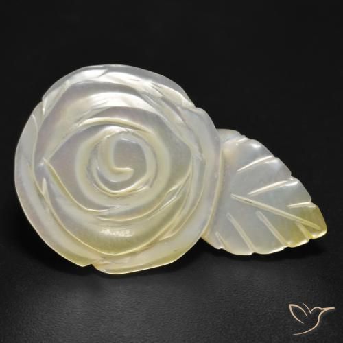 Madreperla bianco perla naturale da 17.04 ct, Taglio a fiore, Opaco