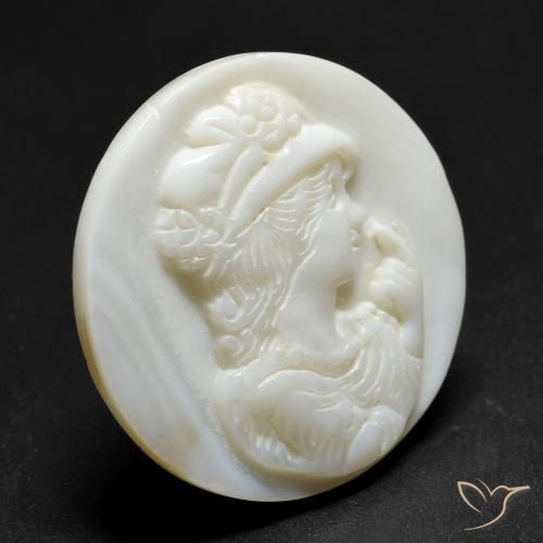 Madreperla bianco perla naturale da 14.43 ct, Rotondo, Opaco