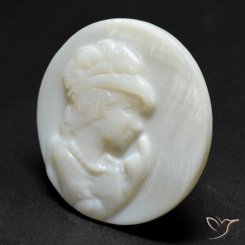 Madreperla bianco perla naturale da 12.81 ct, Rotondo, Opaco