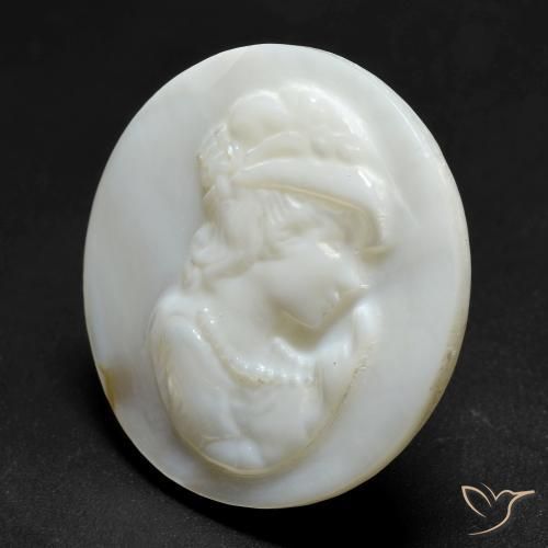 Madreperla bianco perla naturale da 13.70 ct, Rotondo, Opaco