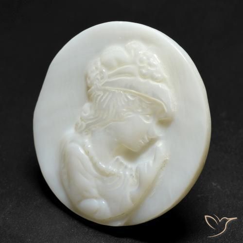 Madreperla bianco perla naturale da 14.15 ct, Rotondo, Opaco