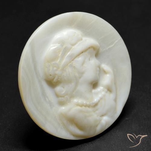 Madreperla Bianco caldo naturale da 11.45 ct, Rotondo, Opaco