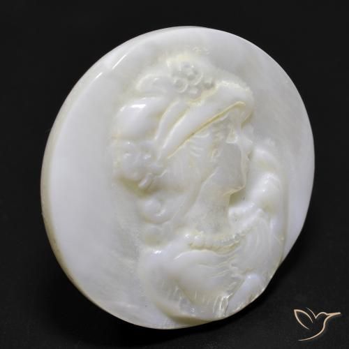 Madreperla bianco perla naturale da 16.81 ct, Rotondo, Opaco