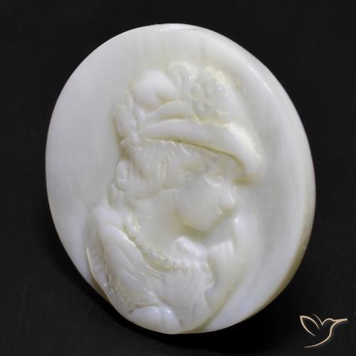 Madreperla bianco perla naturale da 16.81 ct, Rotondo, Opaco