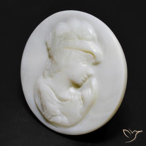 Madreperla bianco perla naturale da 14.67 ct, Rotondo, Opaco