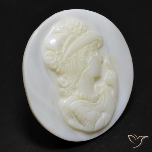 Madreperla bianco perla naturale da 12.98 ct, Rotondo, Opaco