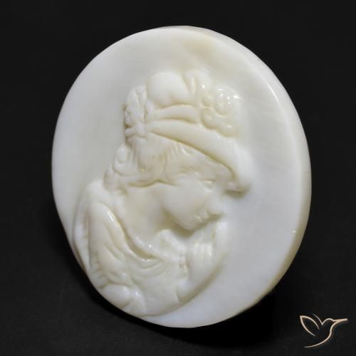 Madreperla bianco perla naturale da 16.55 ct, Rotondo, Opaco