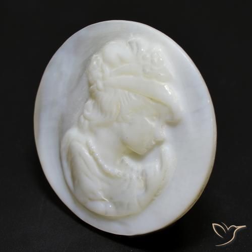 Madreperla bianco perla naturale da 12.25 ct, Rotondo, Opaco