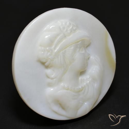 Madreperla bianco perla naturale da 15.28 ct, Rotondo, Opaco