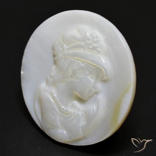 Madreperla bianco perla naturale da 15.28 ct, Rotondo, Opaco