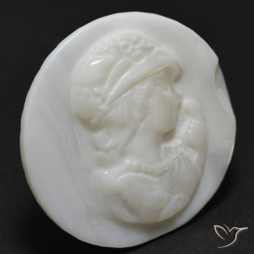 Madreperla bianco perla naturale da 13.54 ct, Rotondo, Opaco