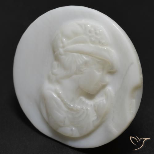 Madreperla bianco perla naturale da 13.54 ct, Rotondo, Opaco