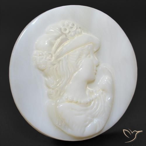 Madreperla bianco perla naturale da 15.14 ct, Rotondo, Opaco