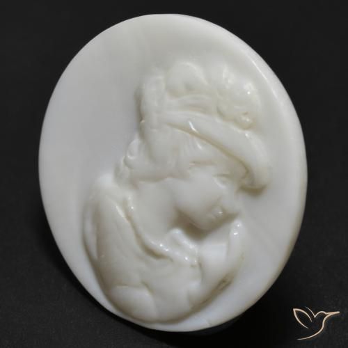 Madreperla bianco perla naturale da 11.66 ct, Rotondo, Opaco