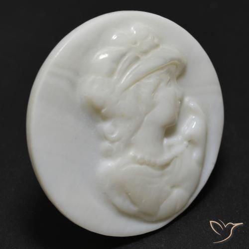 Madreperla bianco perla naturale da 11.66 ct, Rotondo, Opaco